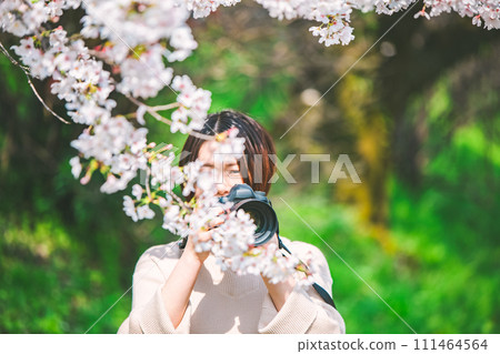 Young camera girl taking pictures of cherry blossoms while sightseeing 111464564