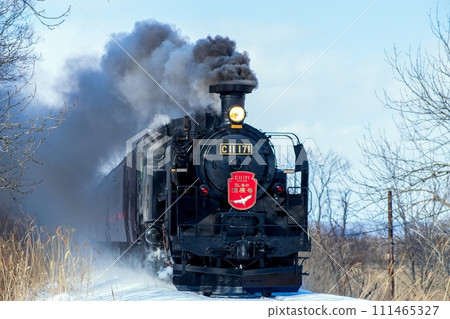 A steam locomotive running in a wetland A steam locomotive running in a wetland 111465327