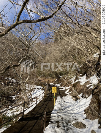 Mt. Tsukuba_Mt.Nyotai with remaining snow_Stairs to the snowy summit 111465605