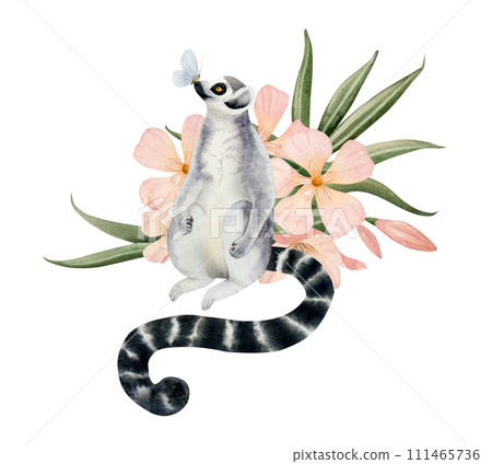 Adorable lemur with blue butterfly on its nose with tropical pastel peach pink oleander flowers watercolor illustration isolated on white background. Hand drawn cute animal with long tail Adorable lemur with blue butterfly on its nose with tropical pastel peach pink oleander flowers watercolor illustration isolated on white background. Hand drawn cute animal with long tail 111465736