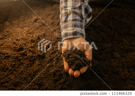 A handful of fertile soil in a hand in a warm light against the background of the earth. Close-up. A hand illuminated by sunlight with a handful of earth. Agriculture, agronomy, horticulture. 111466320