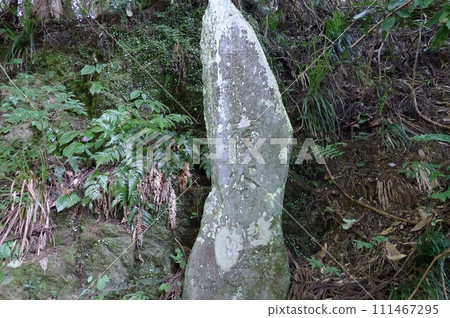 宿屋瀑布（埼玉縣毛呂山町） 111467295