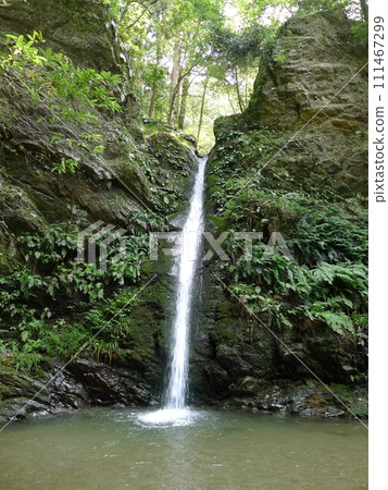 Shukuya Falls (Moroyama Town, Saitama Prefecture) 111467299