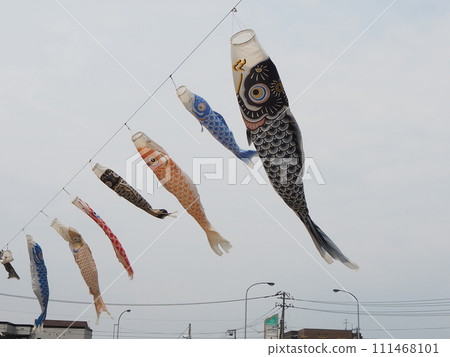 Carp streamers swimming in the cloudy sky 111468101