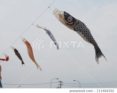 Carp streamers swimming in the cloudy sky Carp streamers swimming in the cloudy sky 111468102
