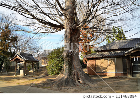 埼玉縣深谷市的能量景點上色面諏訪神社 埼玉縣深谷市的能量景點上色面諏訪神社 111468884