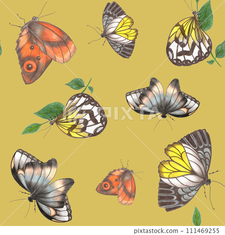 Seamless Pattern with Colorful Butterflies on Yellow Background. Seamless Pattern with Colorful Butterflies on Yellow Background. 111469255