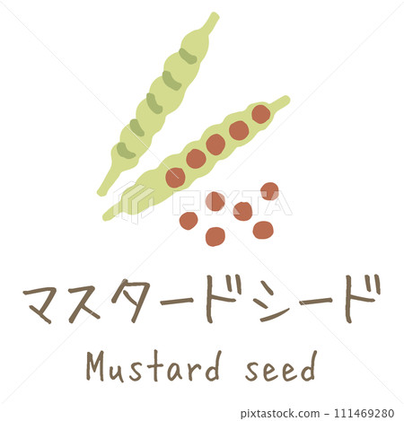 Mustard seed illustration 111469280