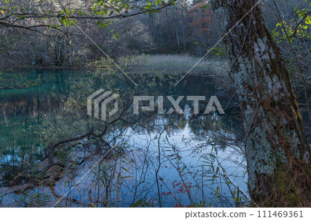 Bishamon Marsh in the Goshikinuma Lakes Group on the Urabandai Plateau, Kitashiobara Village, Yama District, Fukushima Prefecture, Japan 111469361