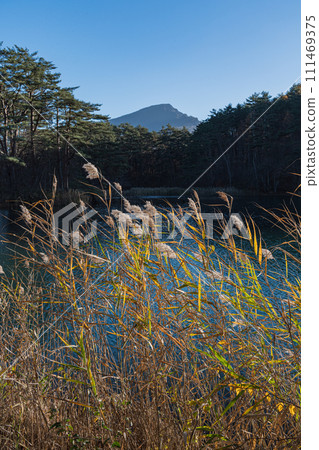 日本福島縣山郡北鹽原村裡盤台高原五色沼湖群的毗沙門沼澤 日本福島縣山郡北鹽原村裡盤台高原五色沼湖群的毗沙門沼澤 111469375