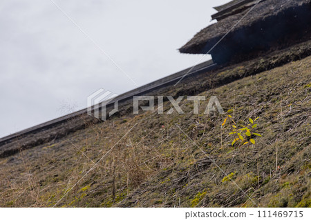 日本福島縣南會津郡下鄉町大內宿的茅草屋頂私人住宅 日本福島縣南會津郡下鄉町大內宿的茅草屋頂私人住宅 111469715