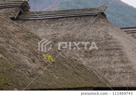 日本福島縣南會津郡下鄉町大內宿的茅草屋頂私人住宅 日本福島縣南會津郡下鄉町大內宿的茅草屋頂私人住宅 111469743