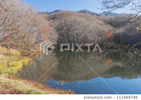 日本福島縣山郡北鹽原村裡磐台高原馬澤沼澤水鏡中倒映的岸邊風景 111469746