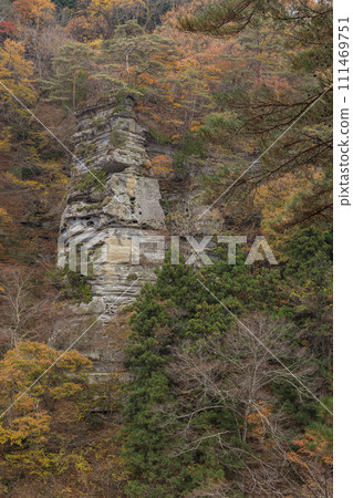 日本福島縣南會津區下鄉町阿賀野川流經的山谷，Tonohetsuri 的秋葉 111469751
