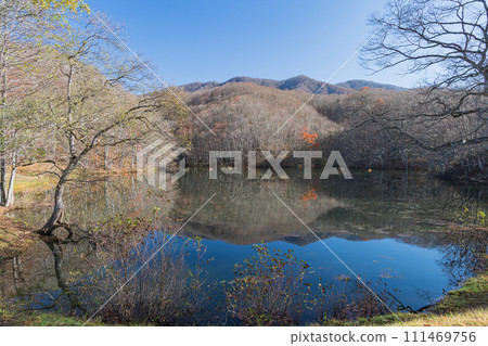 日本福島縣山郡北鹽原村裡磐台高原馬澤沼澤水鏡中倒映的岸邊風景 111469756