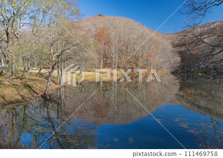 日本福島縣山郡北鹽原村裡磐台高原馬澤沼澤水鏡中倒映的岸邊風景 日本福島縣山郡北鹽原村裡磐台高原馬澤沼澤水鏡中倒映的岸邊風景 111469758