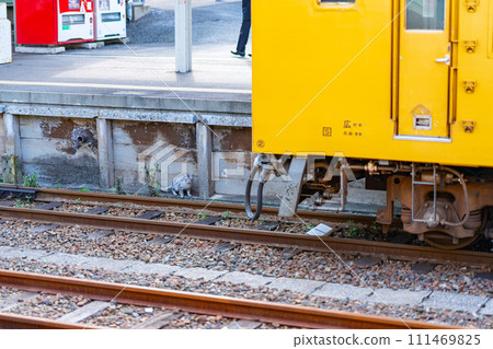 山口縣 宇部新川站 宇部市宇部線 山陽地區 自然觀光 旅行 早午餐 鐵路車站 首頁 111469825