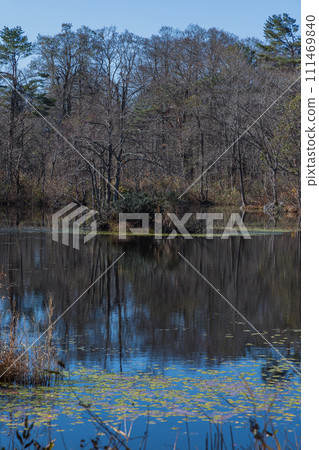 Japan: Renge Swamp in Urabandai Plateau, Kitashiobara Village, Yama District, Fukushima Prefecture 111469840