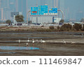 View on Business bay Dubai flamingo ras al knor background 111469847