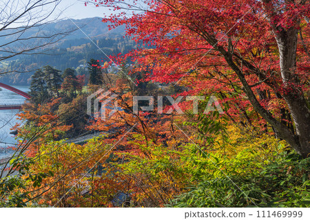 日本福島縣川沼郡柳津町圓藏寺、福萬國藏菩薩的秋葉 111469999