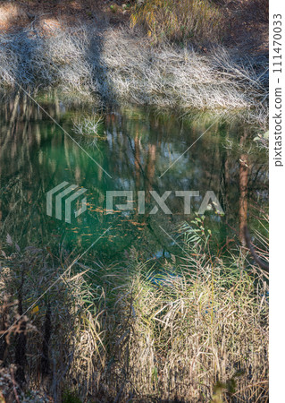 Aonuma in the Goshikinuma Lakes Group of Urabandai Plateau, Kitashiobara Village, Yama District, Fukushima Prefecture, Japan 111470033