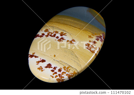 Owyhee Jasper - A stone that holds a landscape Owyhee Jasper - A stone that holds a landscape 111470102