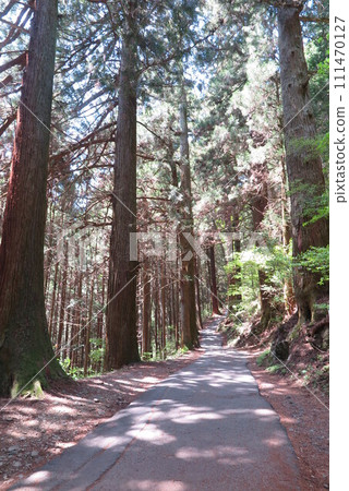 Scenery of mountain trail illuminated by sunlight 1 111470127