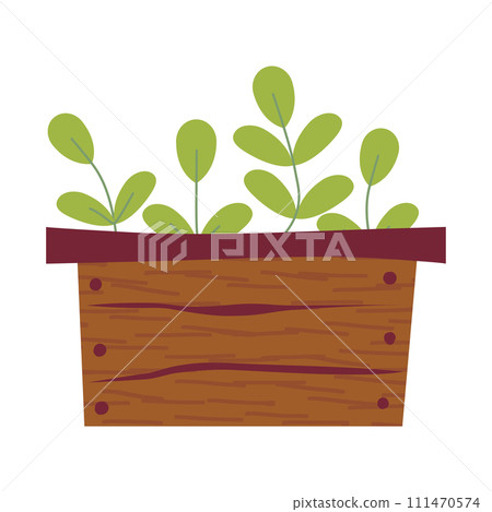 Vector drawing of cute box with seedlings. Healthy grass in wooden box. Vector illustration. Gardening, plants. Colored illustration. Cartoon design for poster, icon, card, logo, label 111470574