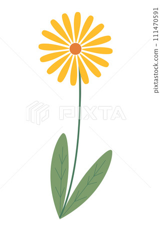 Beautiful yellow flower isolated on white background. Vector graphics. Artwork design element. Cartoon design for poster, icon, card, logo, label. Beautiful yellow flower isolated on white background. Vector graphics. Artwork design element. Cartoon design for poster, icon, card, logo, label. 111470591