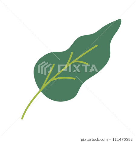 Green leaf over white background. Vector graphics. Artwork design element. Cartoon design for poster, icon, card, logo, label. Green leaf over white background. Vector graphics. Artwork design element. Cartoon design for poster, icon, card, logo, label. 111470592