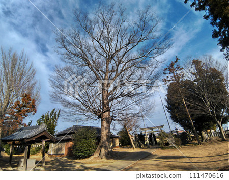 埼玉縣深谷市的能量景點上色面諏訪神社 埼玉縣深谷市的能量景點上色面諏訪神社 111470616