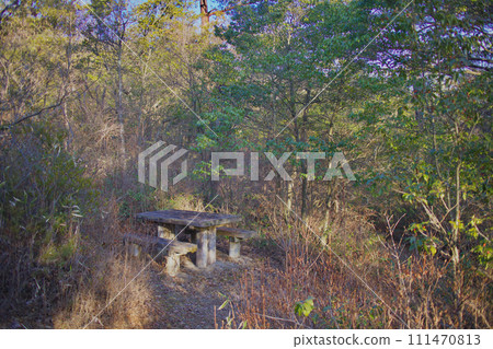 A bench in a once-bustling natural park still has a sense of warmth. 111470813