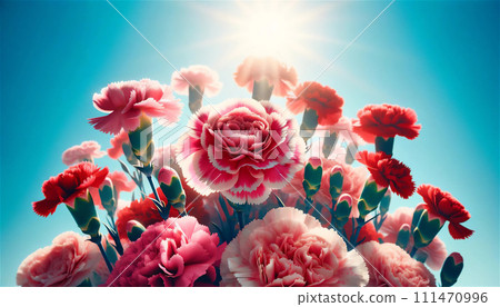 Blue sky and carnation 111470996