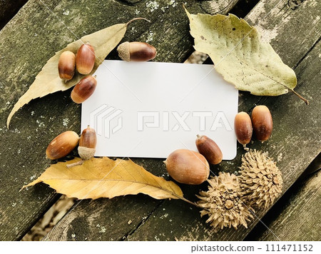 Autumn image_fallen leaves, acorns and white card 111471152