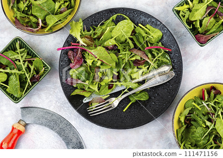 Healthy natural salad, leaf salad. Healthy natural salad, leaf salad. 111471156