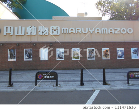 Maruyama Zoo Part 3 111471630