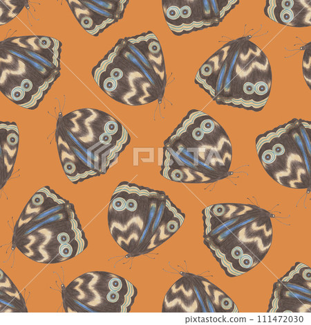 Seamless Pattern with Colorful Butterflies on Orange Background. 111472030