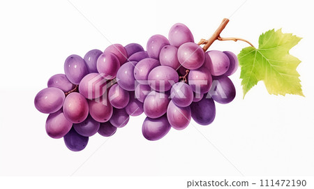Hand drawn cartoon fresh grape illustration Hand drawn cartoon fresh grape illustration 111472190