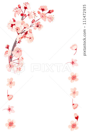 Watercolor hand drawn pink sakura flower vertical frame isolated on  111472935