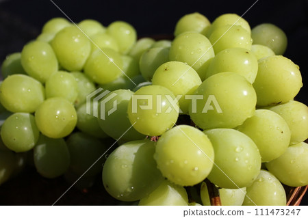 ~ Grape ~ ○ ◯ * + ○ Shine Muscat ○ + ◯ * ○. 111473247