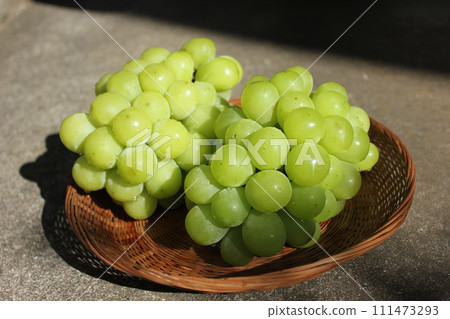 ~ Grape ~ ○ ◯ * + ○ Shine Muscat ○ + ◯ * ○. 111473293