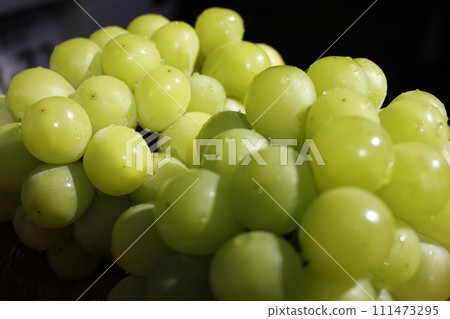 ~ Grape ~ ○ ◯ * + ○ Shine Muscat ○ + ◯ * ○. 111473295