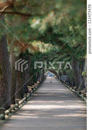 Miho no Matsubara God's way Miho no Matsubara God's way 111473476