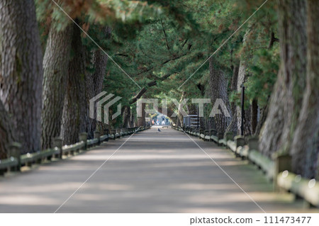 Miho no Matsubara God's way Miho no Matsubara God's way 111473477