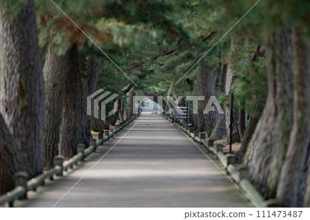 Miho no Matsubara God's way Miho no Matsubara God's way 111473487