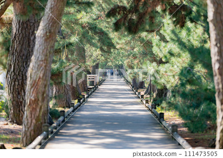 Miho no Matsubara God's way 111473505