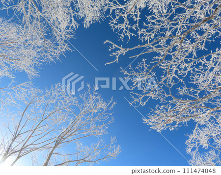 Hoarfrost on trees and blue sky at Mt. Akagi, Gunma Prefecture Hoarfrost on trees and blue sky at Mt. Akagi, Gunma Prefecture 111474048