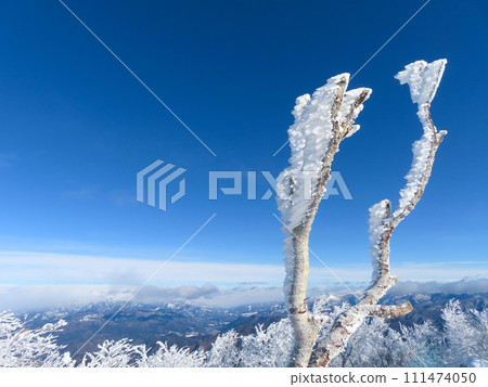 Hoarfrost on trees and frost-covered trees called shrimp tails at Mt. Akagi, Gunma Prefecture Hoarfrost on trees and frost-covered trees called shrimp tails at Mt. Akagi, Gunma Prefecture 111474050