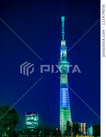 night sky tree night sky tree 111474056