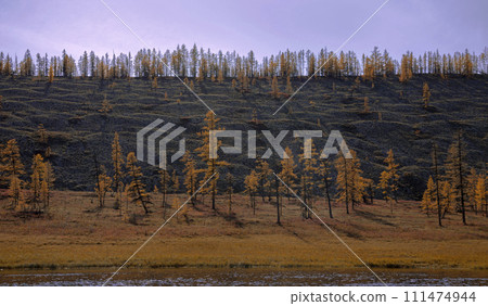 Glacial erosion of the coastal slope in the floodplain of the taiga northern river. 111474944